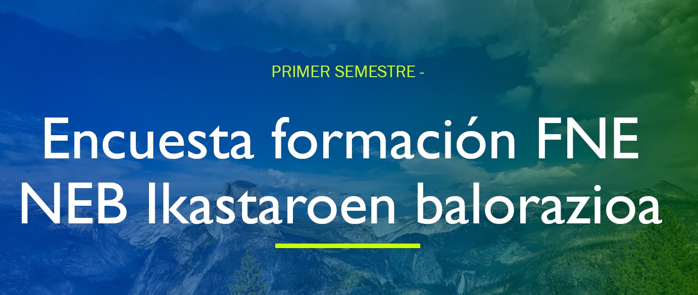 Encuesta formaci&oacute;n FNE (1&ordm; semestre 2022)